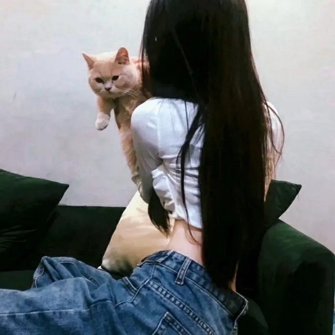 功夫兔与菜包狗第一季